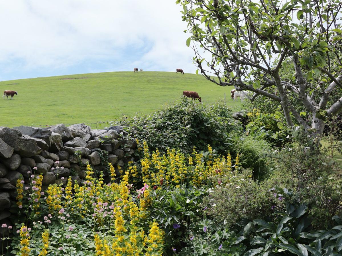 Cark Waingate Cottage מראה חיצוני תמונה